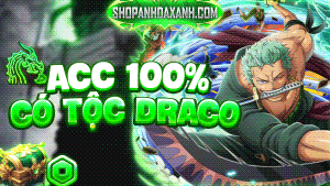 ACC DRACO V4 FULL GEAR